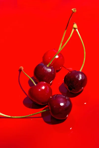 Close up of fresh cherry berries photographed in daylight condit — Stock Photo, Image