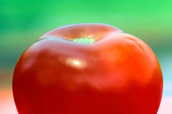 Zbliżenie świeżo pobrane pomidory sfotografowane w świetle dziennym klimatyzow — Zdjęcie stockowe