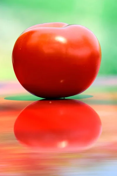 Zbliżenie świeżo pobrane pomidory sfotografowane w świetle dziennym klimatyzow — Zdjęcie stockowe
