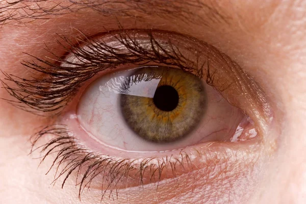 Female single green eye close up — Stock Photo, Image