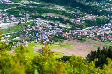 Mestia, Svaneti, Georgia 'nın doğu kısmının havadan görüntüsü. Mestia Vadisi Panoraması (Kafkasya Dağları), ön planda ağaçlar ve çalılar olan bir dağın tepesinden..