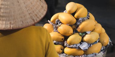 Ho Chi Minh City (Saigon), Vietnam: konik şapkalı bir sokak satıcısı pazarda mango satıyor.