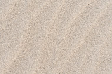 Kumda dalgalanma. Doğa kremi geçmişi. Danang Kumu Khe Sahilim, Vietnam.