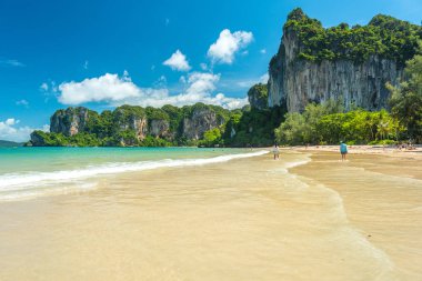 Railay Plajı Batı. Temmuz ayının güneşli ve güzel bir gününde (alçak mevsimde) ormanlar ve temiz suyla kaplı uçurumlar. Yengeç, Tayland