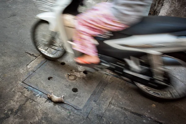Uğursuz sıçan sokakta öldü ve bir motosiklet 1. Mıntıka 'da, Ho Chi Minh City, Vietnam' da bir ara sokakta hareket halindeydi. İnanılmaz bir fare bolluğu Ho Chi Minh 'in problemlerinden biridir..
