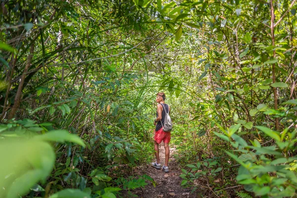 Young man walks along the path through bush and tree thickets wearing shorts, top tank, sneakers and a light backpack. A hiker in a national park strolls through lush vegetation.
