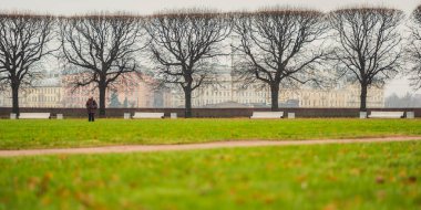 Saint Petersburg, Rusya - 8 Kasım 2017: Vasilyevsky Adası 'nın Spit' inde sonbahar giysileri giyen bir kadınla park alanı. Çıplak ağaçlar, banklar ve kesişen patika.
