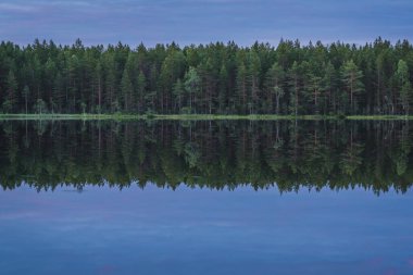 Göl kıyısındaki gece ormanı ve su yansıması..