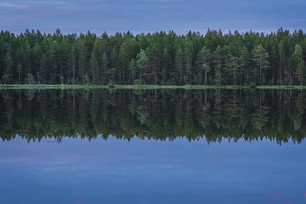 Nachtwald Seeufer Mit Spiegelung Des Wassers — Stockfoto