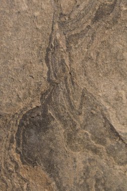 taş doku. kahverengi renk tonu ile mermer yüzey