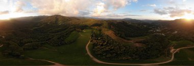 Panorama 360 derece hava at. Güzel orman panorama çay plantasyon ve parlak güneş