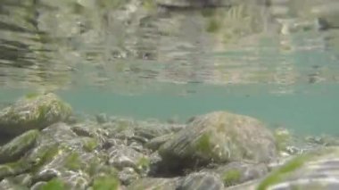 Kristal berraklığında bir nehir su görünümü altında. 4k