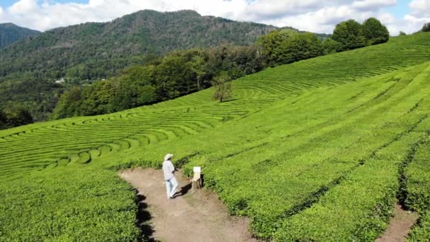 Drone tiro aéreo bela paisagem com pintura Artista uma paisagem de outono. Homens sobre a natureza do artista desenha. 4k Drone DJI ar mágico — Vídeo de Stock