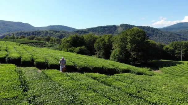 Drone tiro aéreo bela paisagem com pintura Artista uma paisagem de outono. Homens sobre a natureza do artista desenha. 4k Drone DJI ar mágico — Vídeo de Stock