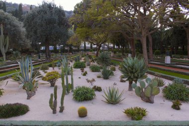 Botanik Bahçesi, kaktüsler, Agav'lar ve succulents