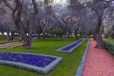 Yaz Şehir Parkı içinde çiçek açması renkli çiçek. Güzel doğal peyzaj kavramı.