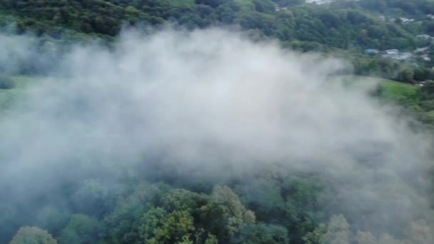 Letecký pohled na vzdušné záběry: let nad horskou vesnicí s lesem v měkkém světle úsvitu. Majestátní krajina. Krása. — Stock video