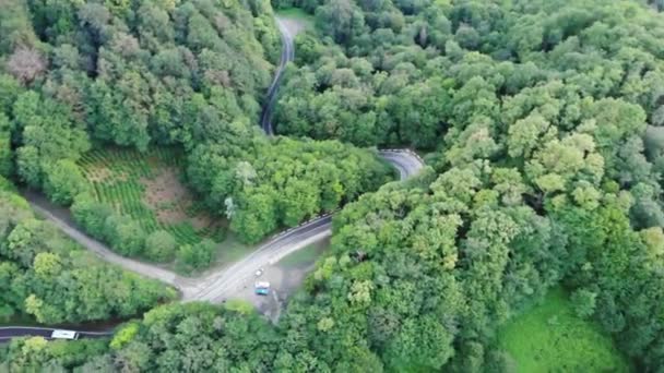 Aerial Drone View: Flight over pine tree forest and country road in sunset soft light. Mountain range in background. Nature, travel, holidays. 4K motion — Stock Video