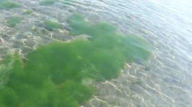 Nehirde sığ su kum alt akan. Su yüzeyinde güneş parlama, güneşli yaz gününde doğa.