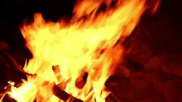 燃烧的火。篝火。在黑色背景上燃烧的火焰的掩蔽 — 图库视频影像