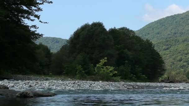 Paisagem com árvores de montanhas e um rio em frente — Vídeo de Stock