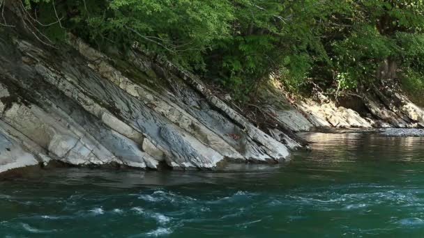 Paesaggio montano con costa rocciosa fiume e foresta — Video Stock