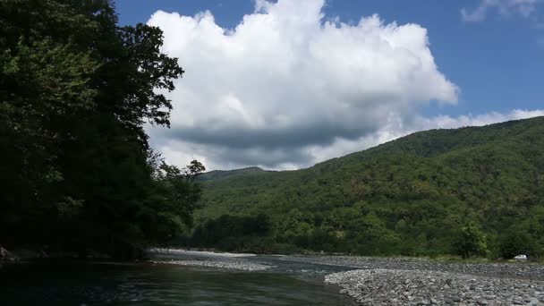 Paesaggio con alberi di montagna e un fiume di fronte — Video Stock