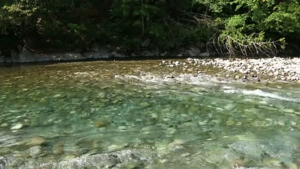 A gyors folyású patak panorámája. Buborékok és hab a víz felszínén — Stock videók