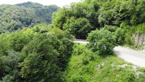 Vista aerea dall'alto verso il basso della guida in auto sulla strada di campagna nella foresta. Drone cinematografico che sorvola la strada nella foresta di abeti rossi. Auto che attraversa la pineta. Drone sparato dall'alto — Video Stock