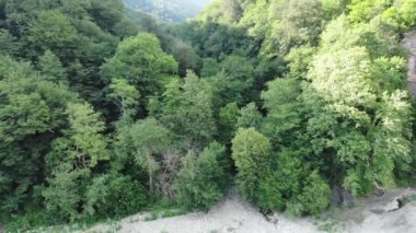 Yeşil ormanlarla kaplı dağ geçidi tepelerinin havadan görünüşü. Drone kamera tepsisi ve dağ yerleşiminin üzerinden uçuyor, güzel tepe manzarası güneşli hava