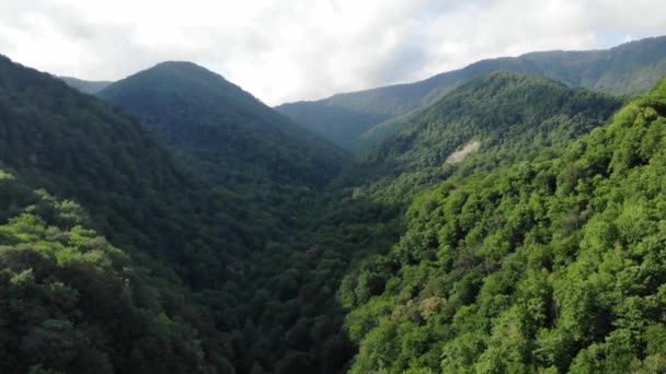 Letecký pohled na horské strže pokryté zeleným lesem. Dron kamera pan a letí nad horskou osadu, krásné kopcovité krajiny slunečné počasí — Stock video