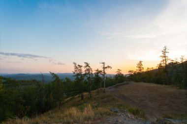 Akşam altın günbatımı. Pines, çimlerin üstünde belgili tanımlık tepe büyüyen sandıklar. Ufuktaki dağlar hattı. Manzara