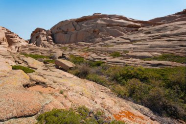 mavi gökyüzünün altında rock çatlak kuru ardıç yetişir. Bektau-ata Ulusal Rezerv peyzaj