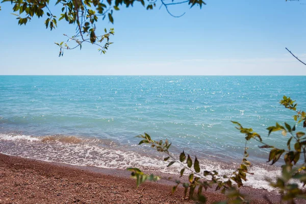 Vahşi kumlu Balkaş Gölü kıyısında. Yaz aylarında Kazakistan