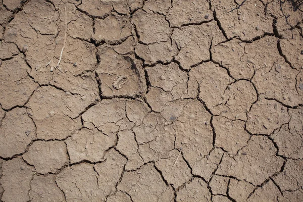The background of cracked, dried white clay or mud. Texture for design, space for text. The concept of global warming