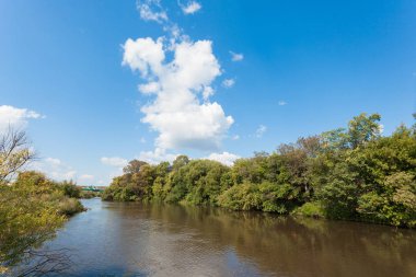 Willow çalılıkları Zyuzelga Nehri'nin kıyısında. Yazın ortasında Rus ilin manzara