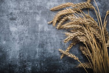 Kulakları buğday taş zemin üzerine gelen Tarım natürmort