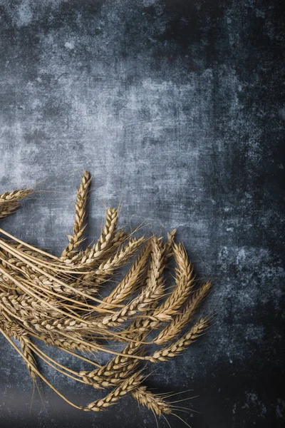 Kulakları buğday taş zemin üzerine gelen Tarım natürmort