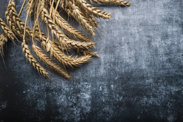 Kulakları buğday taş zemin üzerine gelen Tarım natürmort