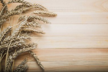 demet buğday kulak açayım. Sonbahar natürmort hasat. flatlay, metin, arka plan tasarımı için için yer.