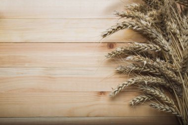 demet buğday kulak açayım. Sonbahar natürmort hasat. flatlay, metin, arka plan tasarımı için için yer.