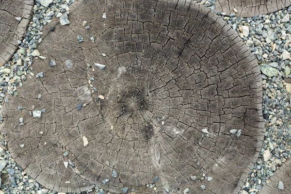 Textura Sierra Cortó Madera Piedras Grises — Foto de Stock