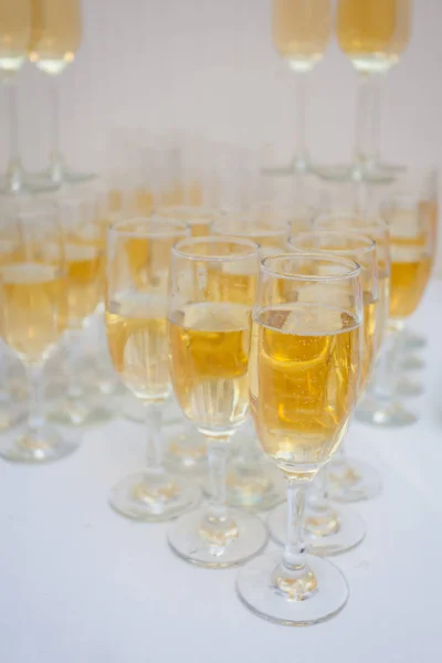 Champagne in the glases on the buffet table. Closeup