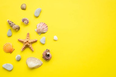 Sarı bir arka planda deniz kabukları. Yaz tatili kompozisyon fikir. düz yatıyordu