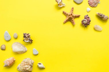 Sarı bir arka planda deniz kabukları. Yaz tatili kompozisyon fikir. düz yatıyordu
