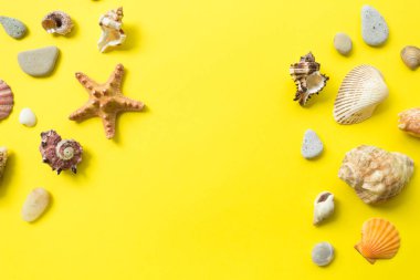 Sarı bir arka planda deniz kabukları. Yaz tatili kompozisyon fikir. düz yatıyordu