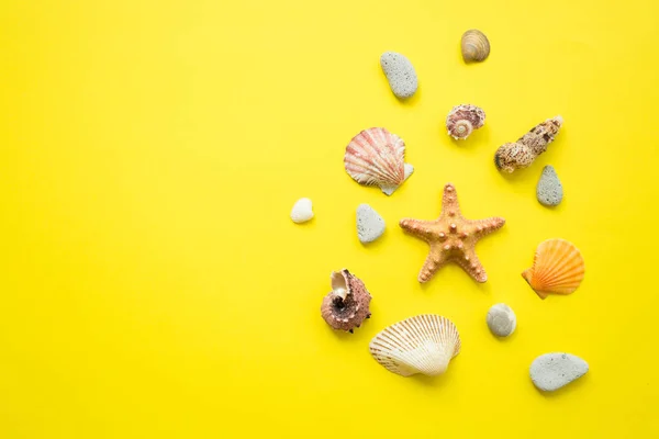 Sarı bir arka planda deniz kabukları. Yaz tatili kompozisyon fikir. düz yatıyordu
