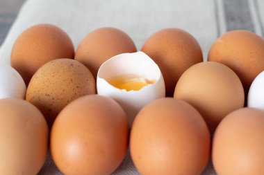 birkaç satır fazla yumurta