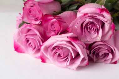 pembe gül buketi tex için yer ve beyaz arka plan üzerinde Kapat