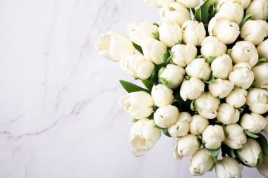 Beyaz arka planda beyaz lale demeti.